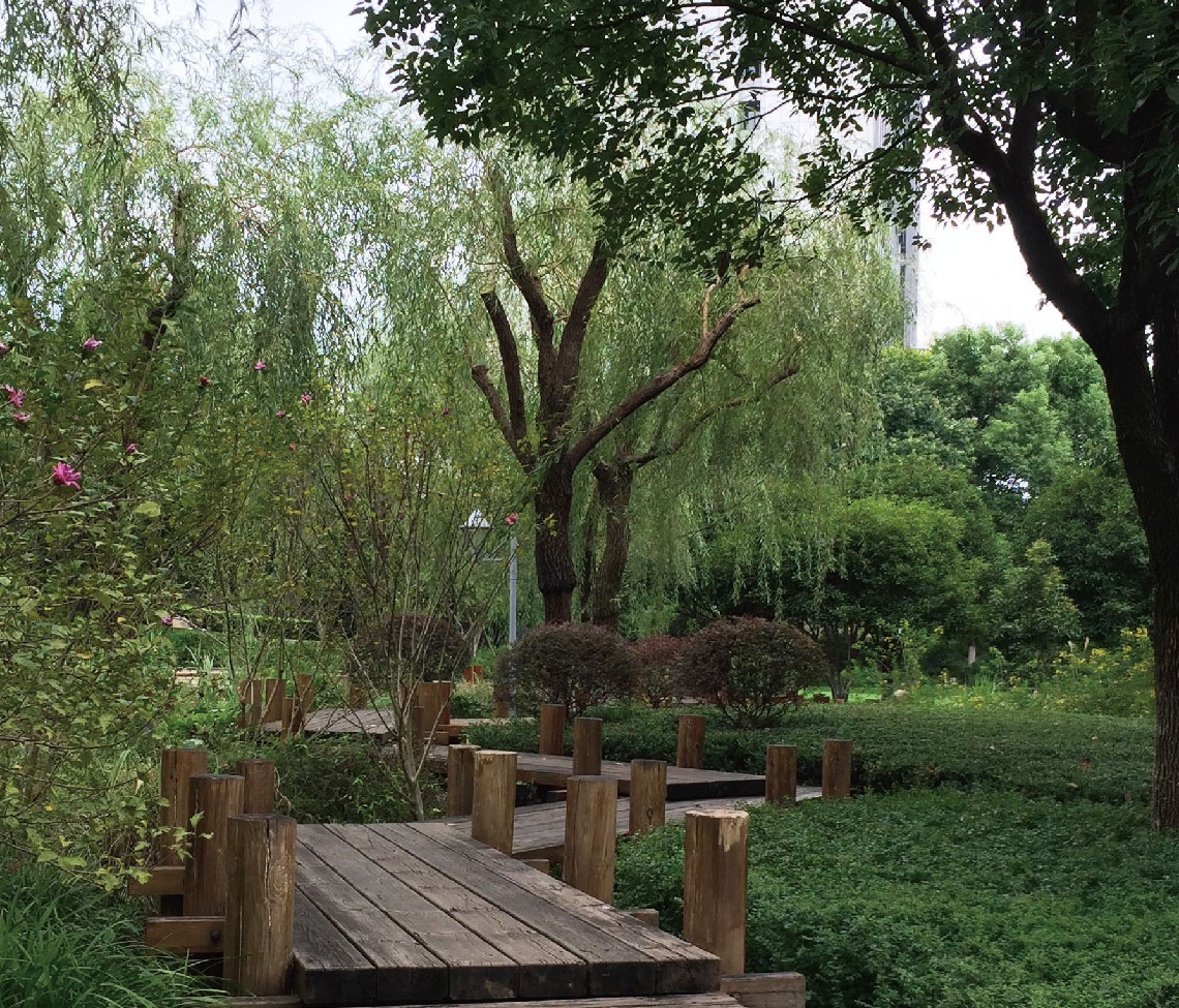 園林綠化養(yǎng)護(hù)